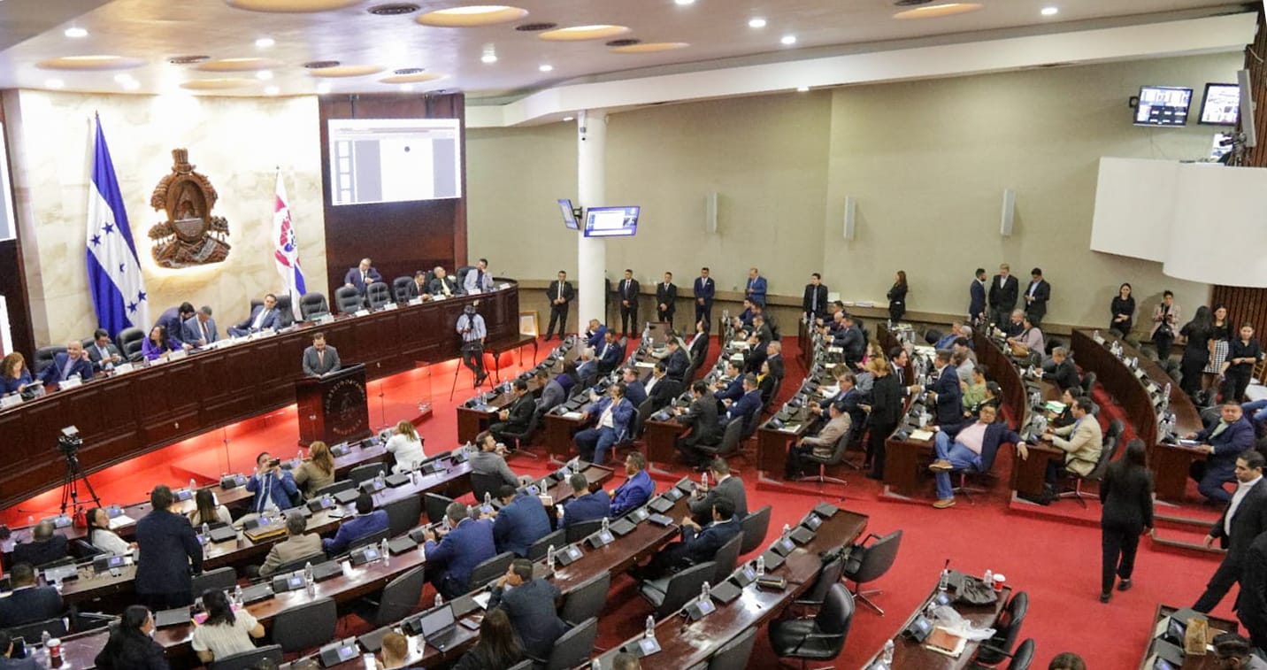 CN aprueba amnistía para regularizar armas de uso comercial