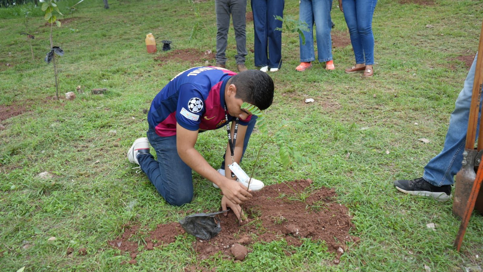 Imagen de galería de Alcaldía realiza jornada de arborización y limpieza en el intercambio de los bulevares Kuwait y Fuerzas Armadas