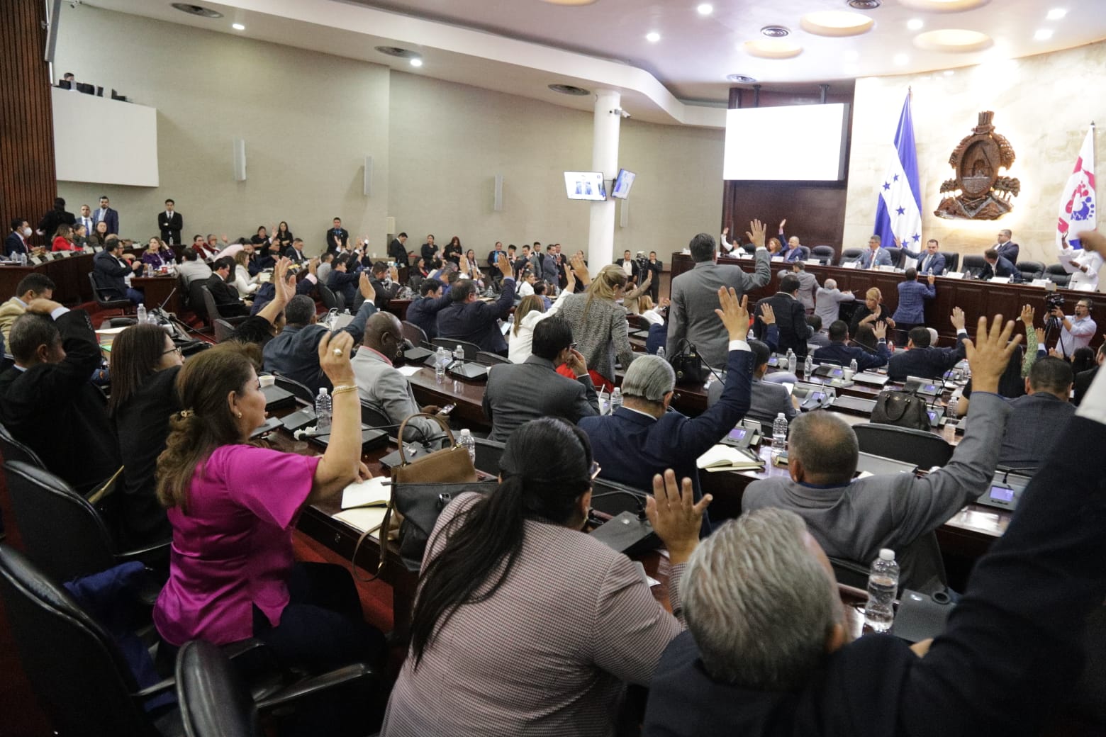 Imagen de galería de CN aprueba amnistía para regularizar armas de uso comercial