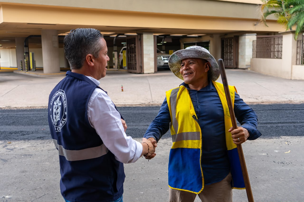 bacheo